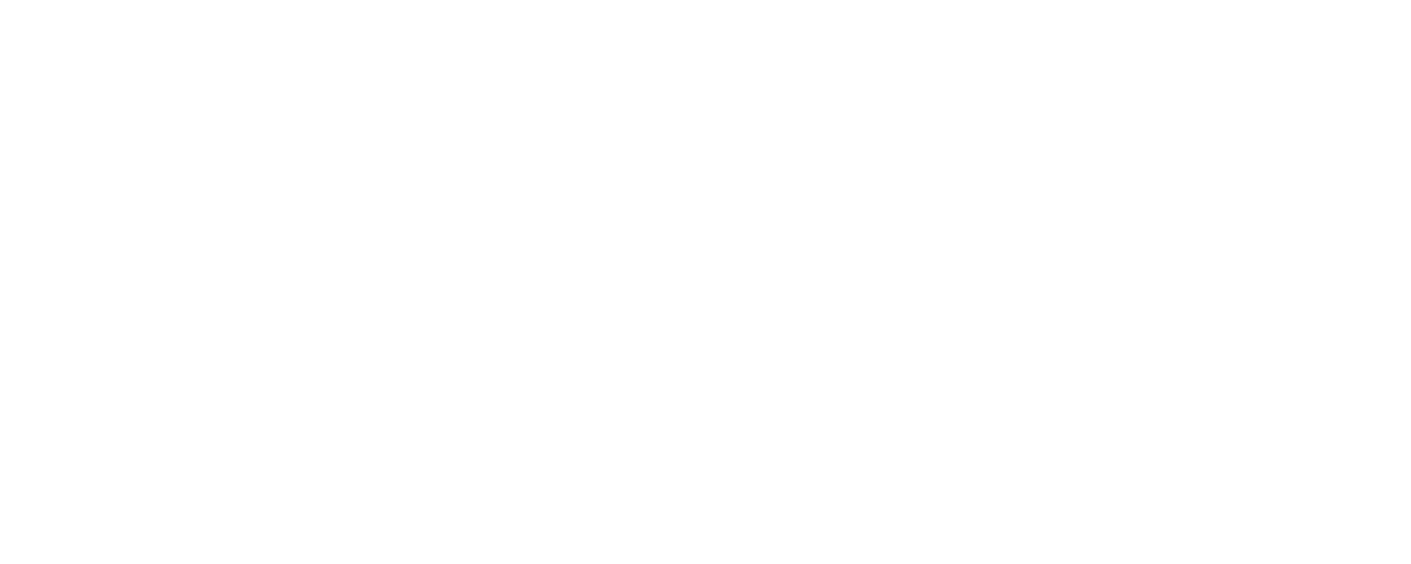 Tidy Texas Home Organizer